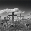 New Mexico Cemetary