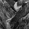 Yellowstone Falls