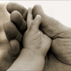 Baby and Mans Hands